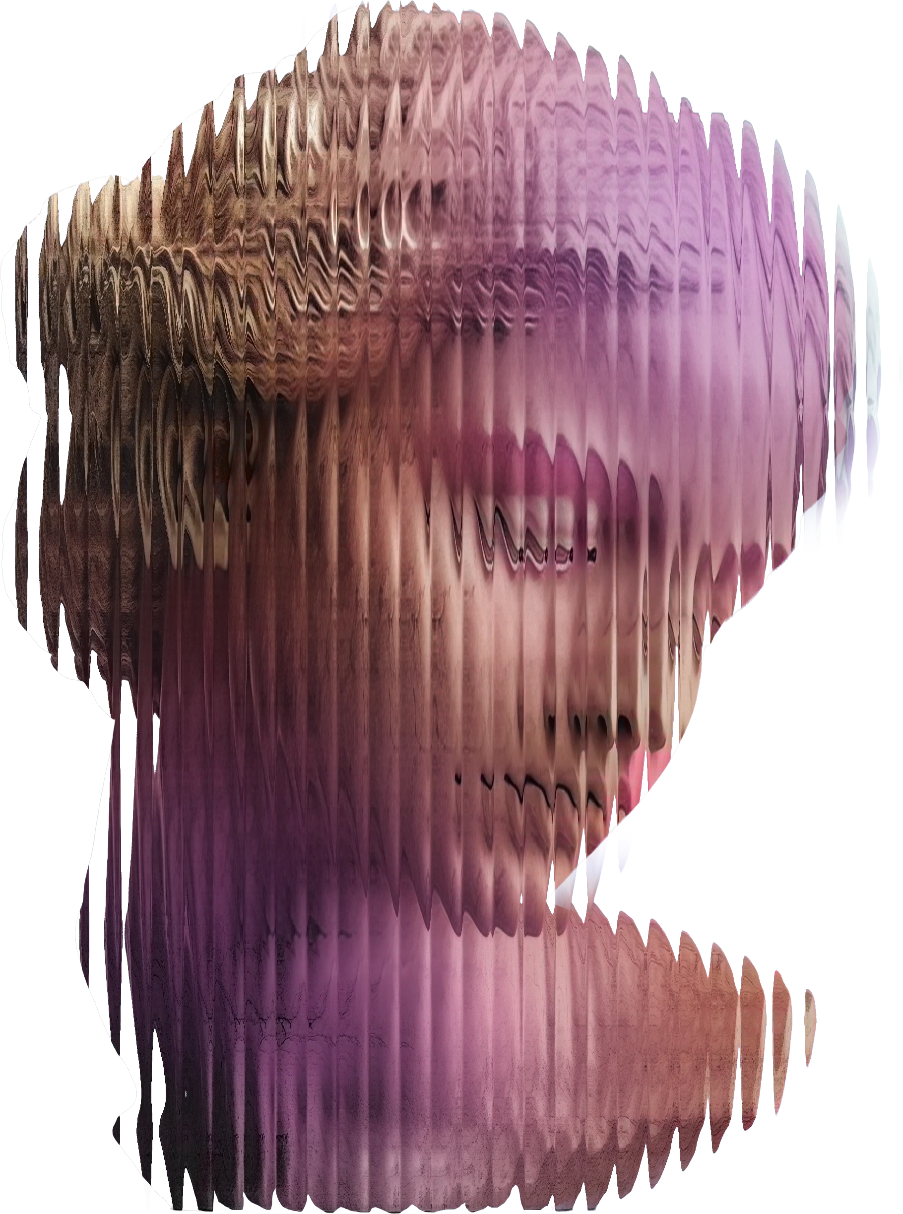 Paradigma — Recherche visuelle — buste