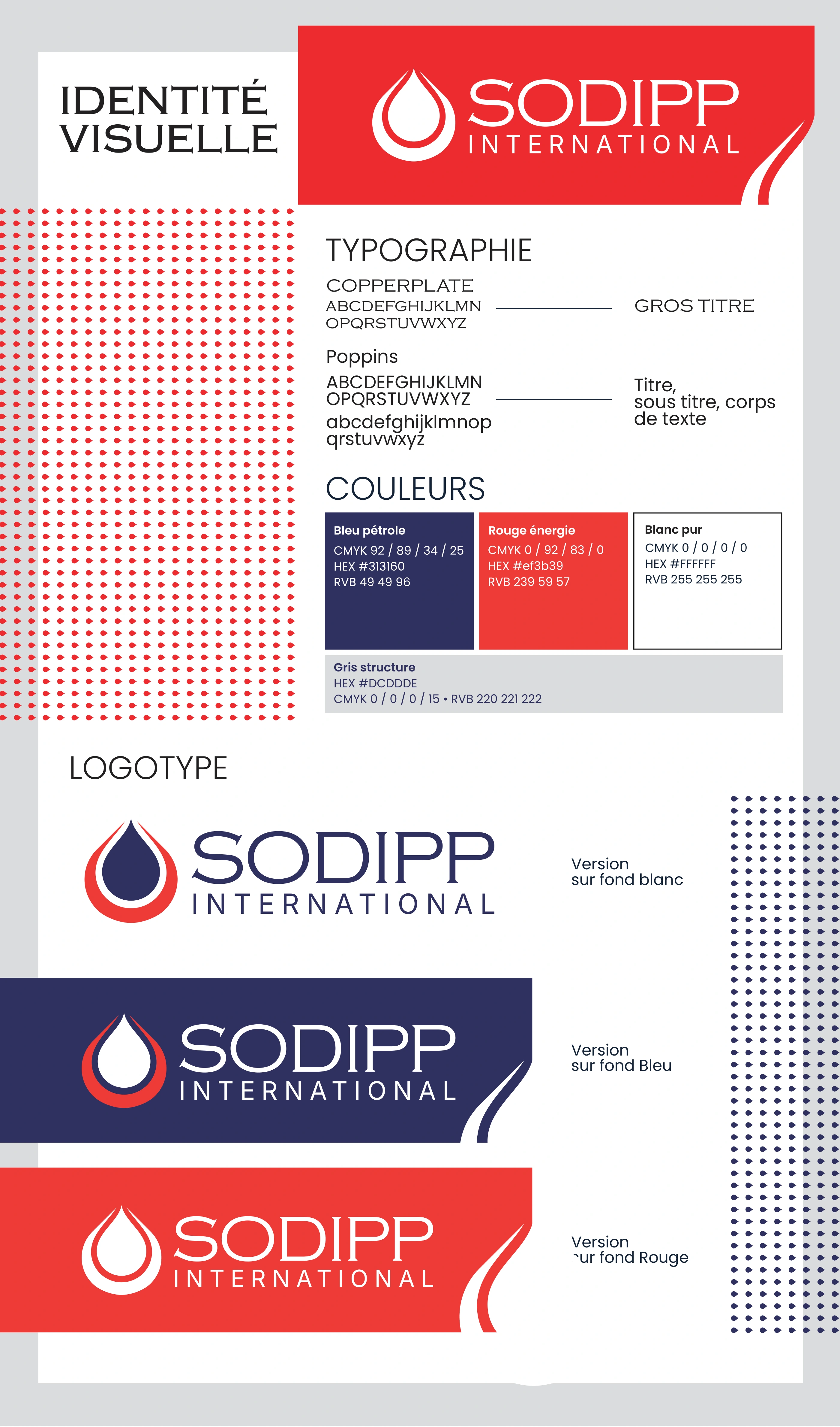 SODIPP — Système d’identité visuelle